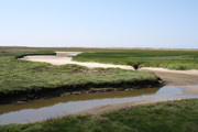 fahrradtouren-durch-herrliche-landschaft.jpg