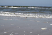 nordseefeeling.jpg